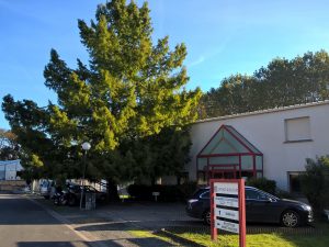 Wood drying with CATHILD INDUSTRIE